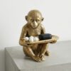 Monkey tray (2) Monkey Tray