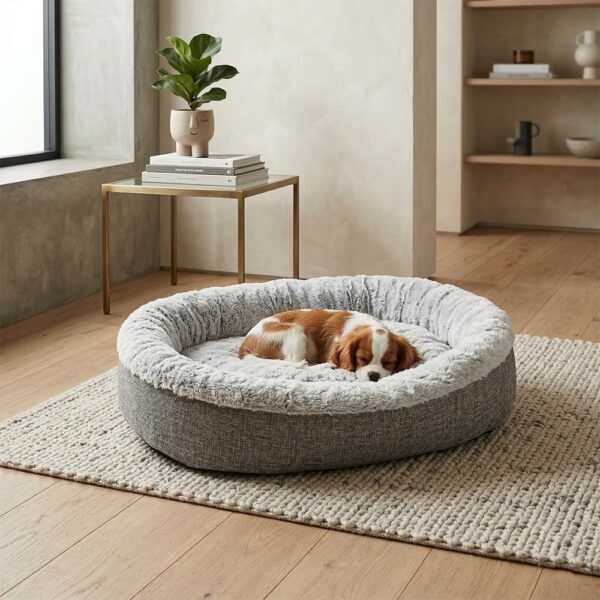PET_BED_LC_025 A