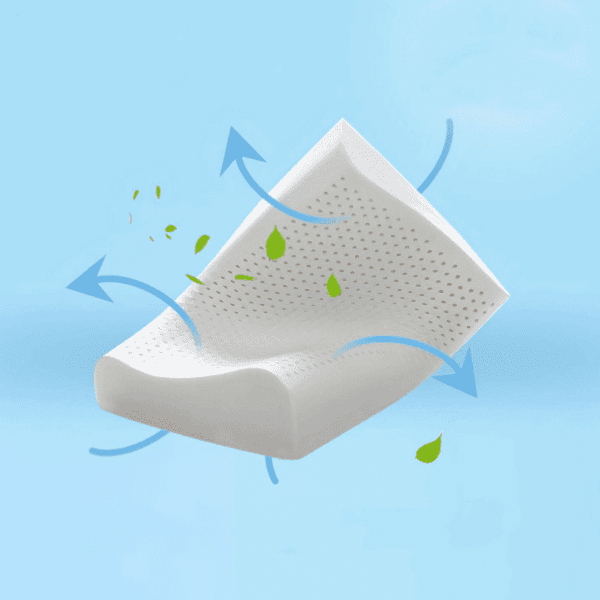Screenshot (1224) MEMORY_FOAM_PILLOW_289
