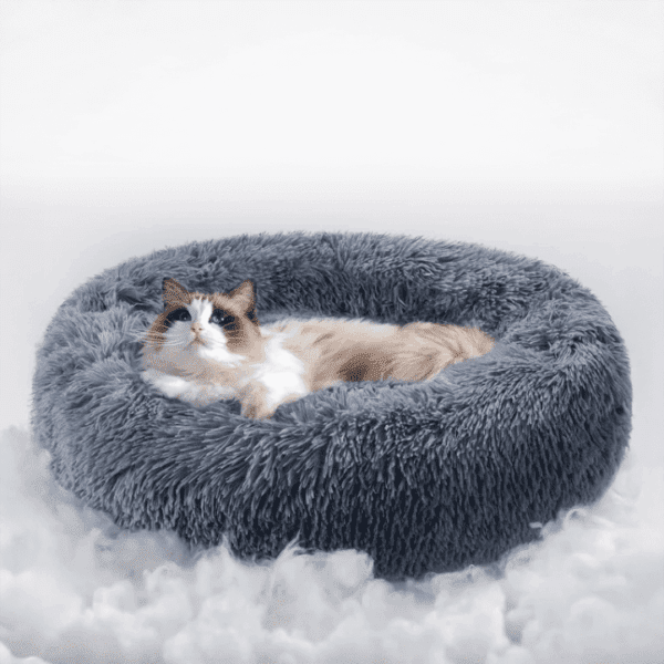 Screenshot (207) PET_BED_LC_137