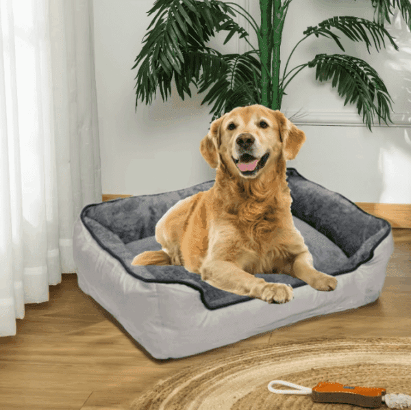 Screenshot (212) PET_BED_LC_162