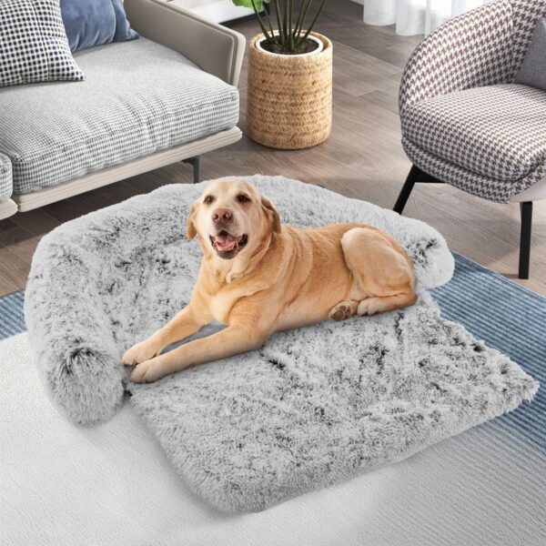Screenshot (220) PET_BED_LC_140